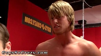 Gay Fox Cartoons Porn What Commenced Out As An Harmless Auction Has