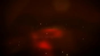 X Cams With Multi Lenguage