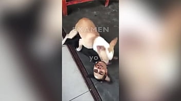 Papi, Pepe, Caca - Unknown - 2025 - Amazing - Experience - Video 4978922