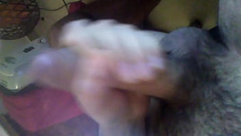 My, Skype, Soloboy, Moreno11177 - Unknown - 2025 - Steamy - Performance - Video 4795436