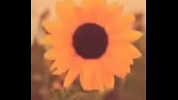 Perrita Cantando Semi Desnuda