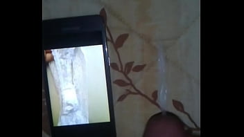 2do Tributo Para Catpussy32