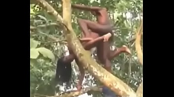 15661646 1806307559649103 5661809065647407104 n