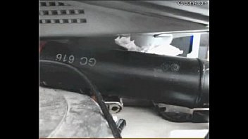 Mauricapital Calibre22 En Cam