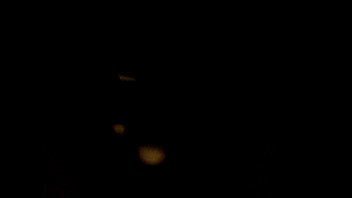 Black, Horny, And, Weiner - Exotic - 2025 - Amazing - Performance - Video 4746264