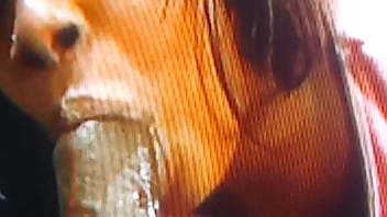 Amateur - Amateur - 2025 - Incredible - Show - Video 6447559