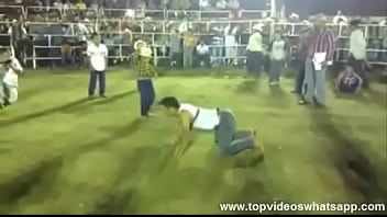 Videos Do Whatsapp - Rodeio Sem Touro