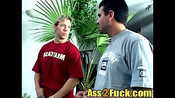 Busty Sluts Orgy Anal Riding Sucking Big Dongs