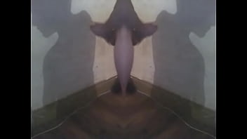 Amateur, Amor, Soloboy, Propio - Amateur - 2025 - Incredible - Show - Video 6213638