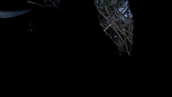 Morning Urine In The Snow