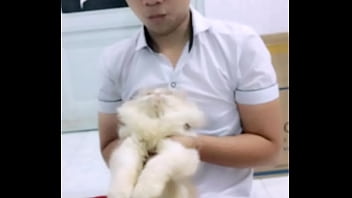 Loz thương chó đẻ