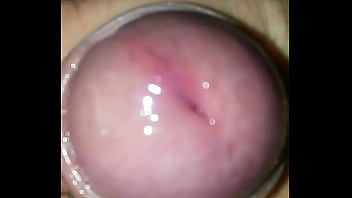 Cumshot, Masturbation, Horny, Soloboy - Cumshot - 2025 - Sexy - Experience - Video 4789488