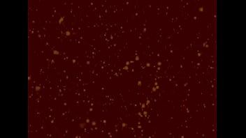 Celula Safada Novinha Se Dividindo Para Dar Conta De Tudo