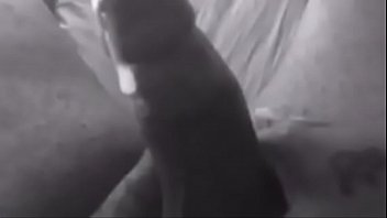 Play, Fun, Milan, Alexander, Bae, Gemini, Jazz, Yang, Yin, Honeycomb - Unknown - 2025 - Intense - Session - Video 4723506