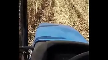 Agricultor Safadinho