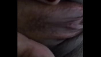 O Dinossauro E A Gatinha