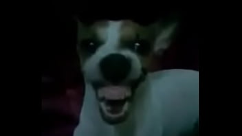 Soloboy, Toma, Bobo - Unknown - 2025 - Hot - Session - Video 4765313