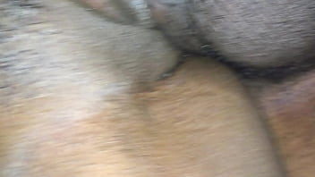 Dick, The, She, Love - Unknown - 2025 - Incredible - Experience - Video 4607922