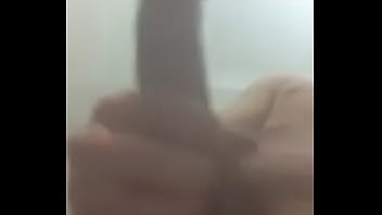 My Arab Jordanian Cock