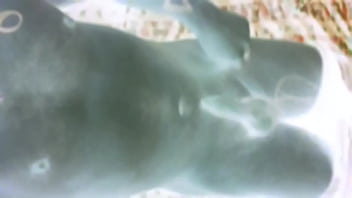 Inverted Colour Tease