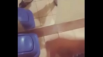 Chibolo Quiere Tirar 3