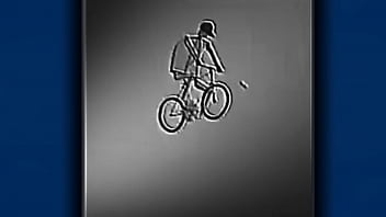 Passarinho D. Version Ao Som De Sweet Dreams