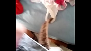 Calcinhas Da Tia Safada 0050