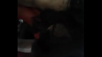 Me Gustaria Un Gang Bang