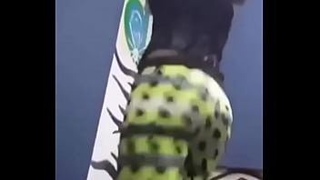 Sexy Indian Bitch Dance