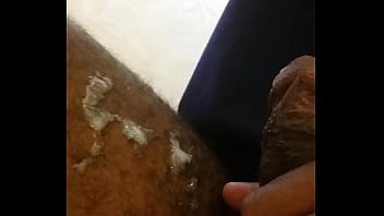 Novinho Dando Muito Leite