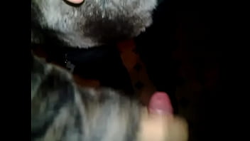 My Girlfriend Suck In Fur