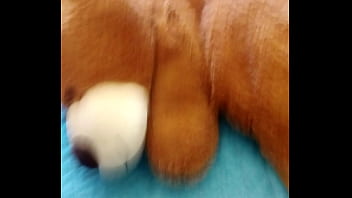 Azotando A Un Oso (no Clickbait)