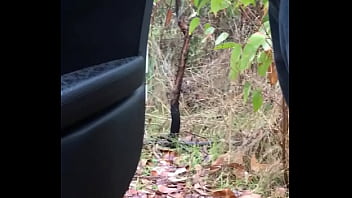 trim.8919159B-0469-4E6F-B4B0-3F7A1B079072