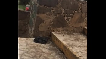 Gay, Caliente, Meando, Chacal - Gay - 2025 - Steamy - Show - Video 4634637