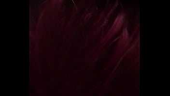 Pink Head Swallow The Bbc