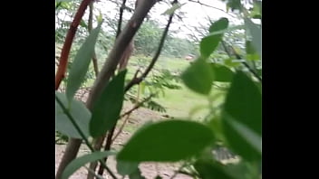 My Village Ass Show Pdi