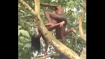 19508825 239628193209271 5414075987669286912 n