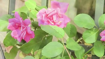 A Short Film About A Man Missing His Loved One. Fully Nude.