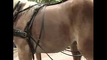 Redlighttvdesiderioanale2 04