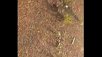 Rezende Fucking His Ex Girlfriend S Gift