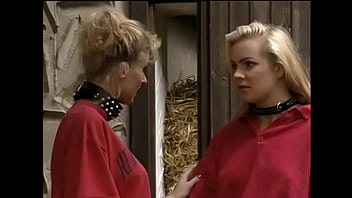 Maximum Perversum 35mp4