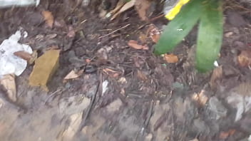 Dando Gostoso Pro Motoboy Nas Matas Do Cal_ad_o Do Distrito (sem Capa)