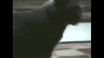 Alambrado - Dedos De Mantequilla