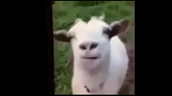 Who Is She? Please - tits, bouncing, she, is, who - Video 4574854