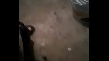 Oso Se Masturba Parte 1