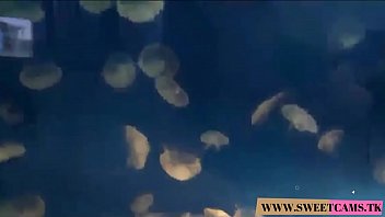 Dee Dee Lynn Takes A Creampie After Your Pov Virtual Date With Hardcore Sex - Www.sweetcams.tk