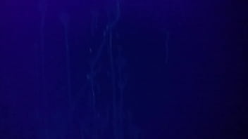 Cumshot Stains Above Bed Under Blacklight Comment Please