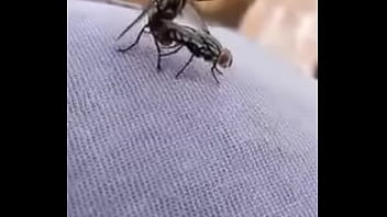 El Mejor Sexo Que Veras Hoy