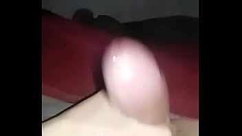 Mi, Leche, Soloboy, Traga - Unknown - 2025 - Amazing - Experience - Video 4352089