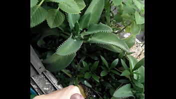 I Need A Girl For Me And A Vagina For My Penis!